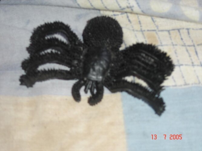 spider plastic.jpg
