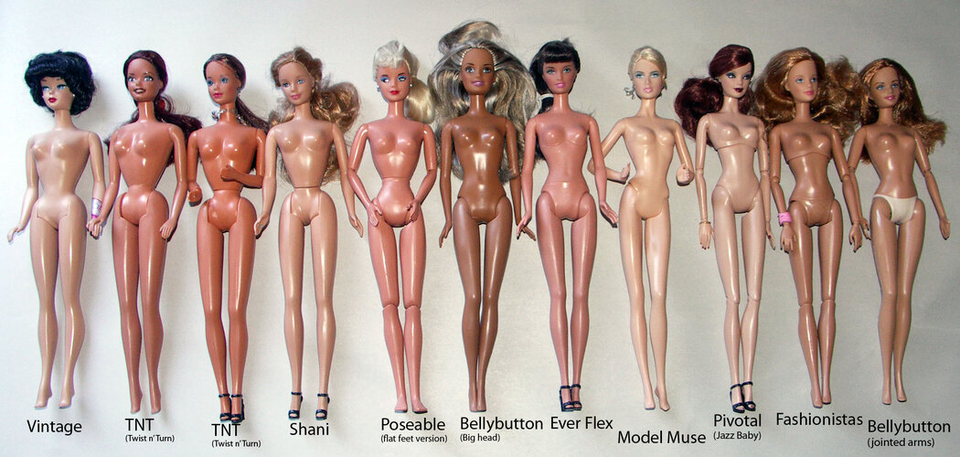 most_common_Barbie_bodies.jpg