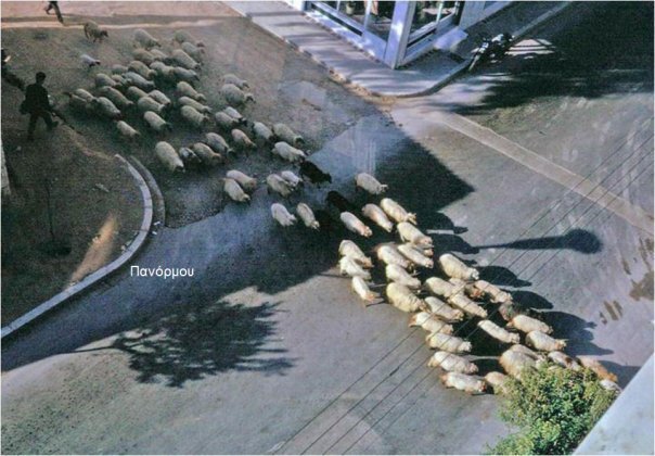 panormou.jpg