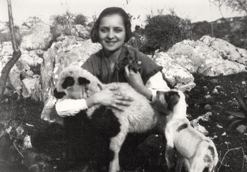 young-aliki-sheep.jpg