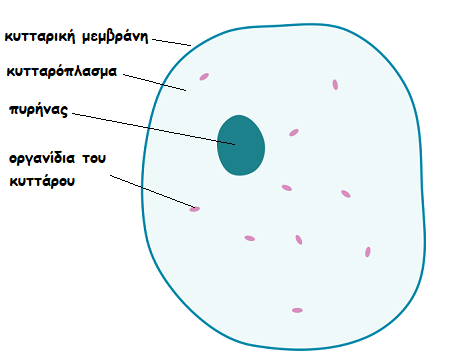 20200308_183824.png