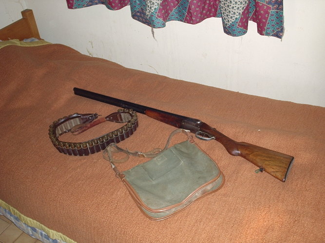 PA250228.JPG