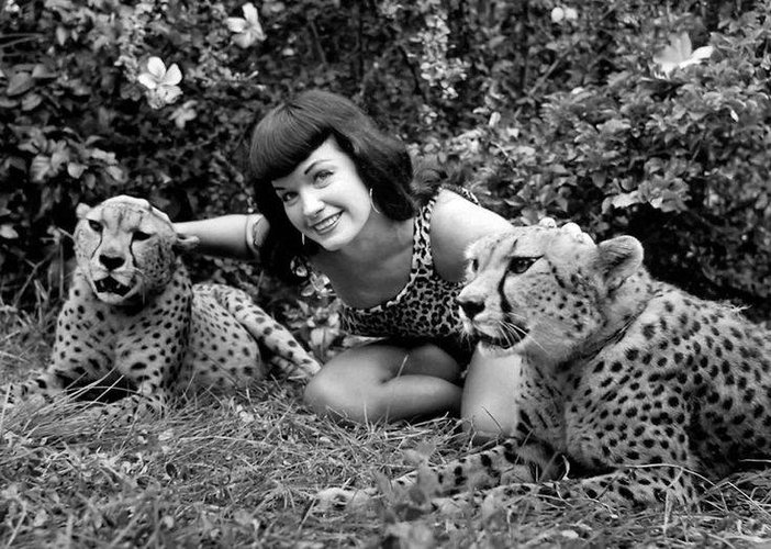 bettie cheetah 2.jpg