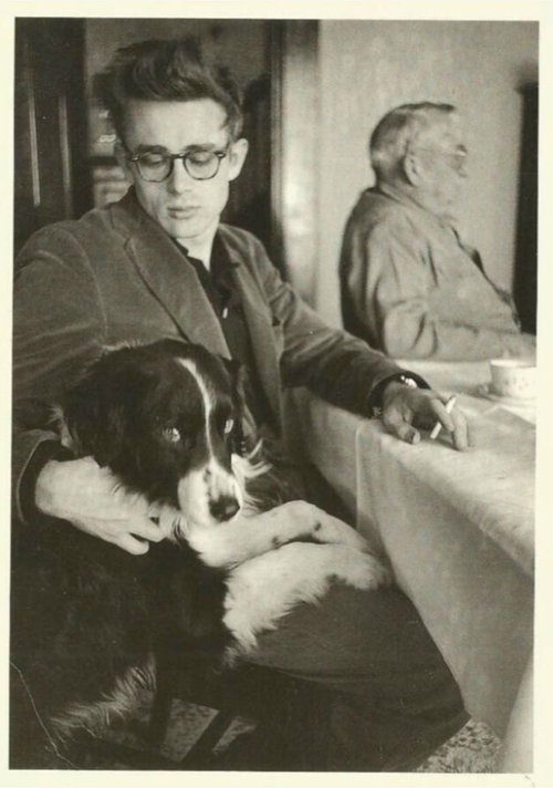 james-dean-and-collie-dog-tuck.jpg
