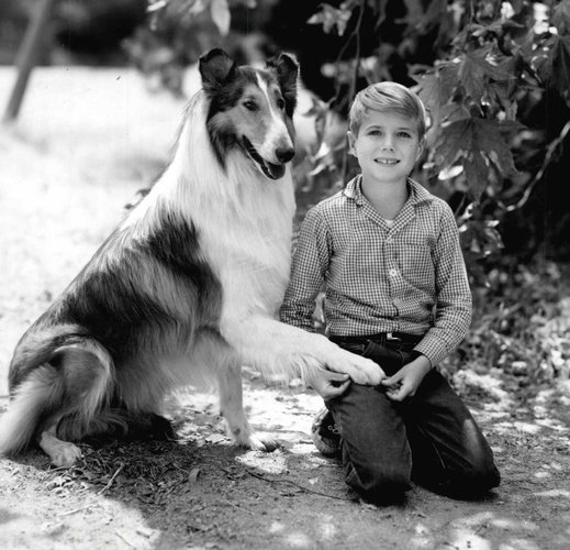 Lassie_Jon_Provost_1961.jpg