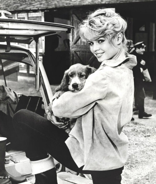 brigitte-bardot-and-dog-600x707.jpg