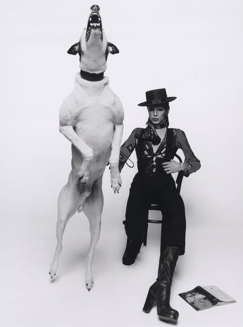 David-Bowie-diamond-dog-web_1500x.jpg