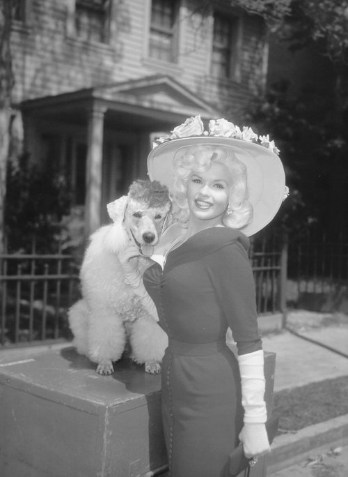 jayne-mansfield-poodle.jpeg