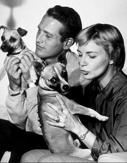 Interesting Vintage Photos of Classic Movie Stars Spending Time With Their Pets (44).jpg