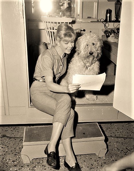 Doris Day.jpg