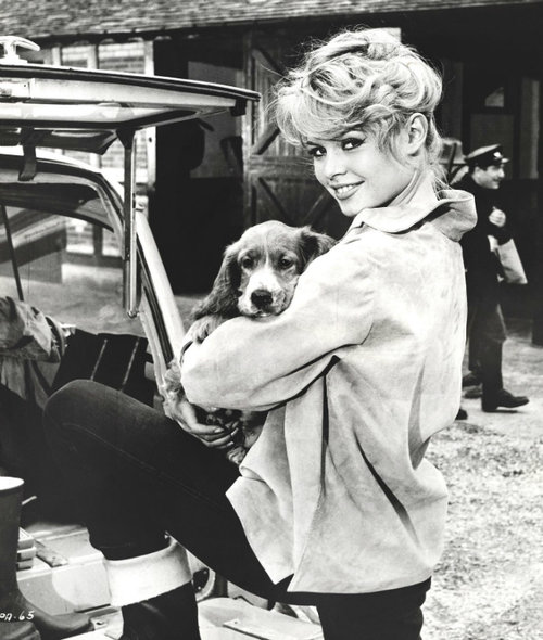 brigitte-bardot-and-dog.jpg