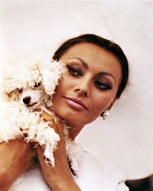 884full-sophia-loren.jpg