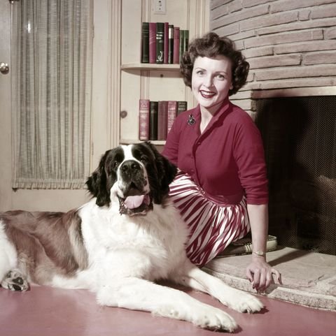 pictured-actress-betty-white-dog-stormy-at-home-c-1954-news-photo-1588699621.jpg