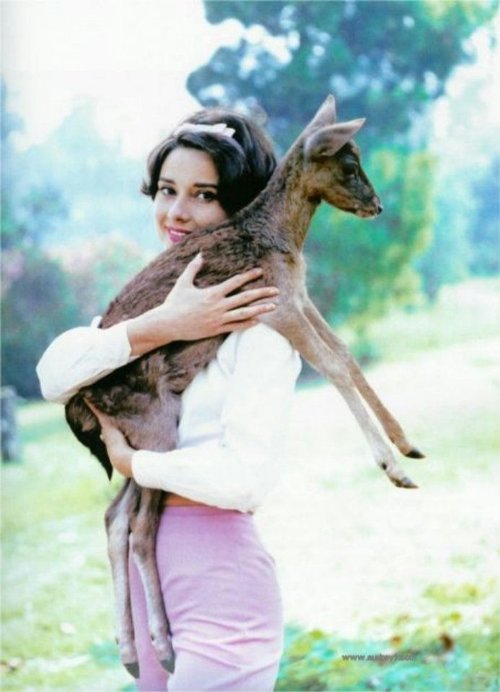 Audrey-Hepburn-Animals-19.jpg