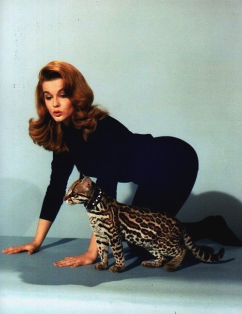 Ann-Margret.jpg