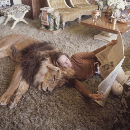 tippi-hedren-lion-1590508001.jpg