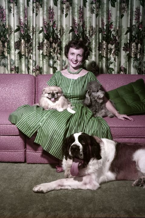 pictured-actress-betty-white-with-dogs-bandy-stormy-danny-news-photo-1578764608.jpg