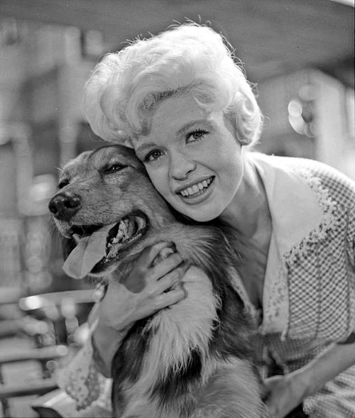 jayne-mansfield-dogs-5.jpg