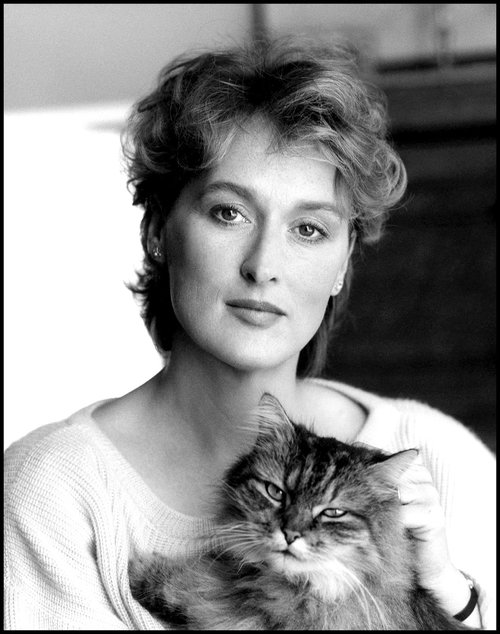 Meryl-Streep-cats.jpg