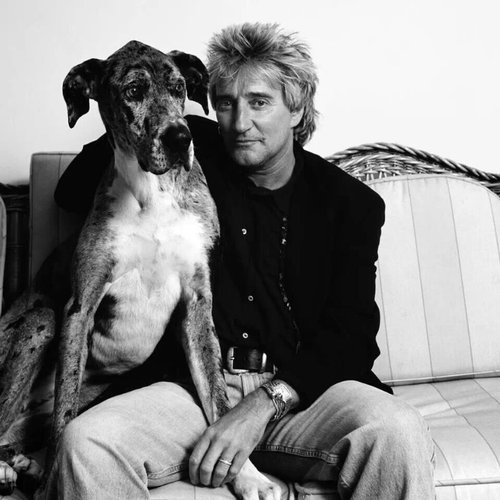 Rock Stars with Their Pets (27).jpg