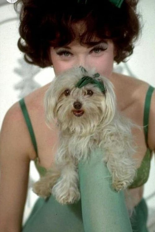 Shirley MacLaine.jpg