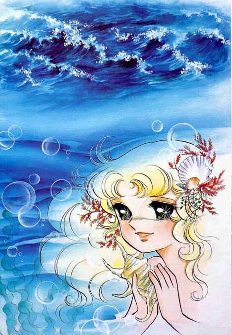 seashe10.jpg