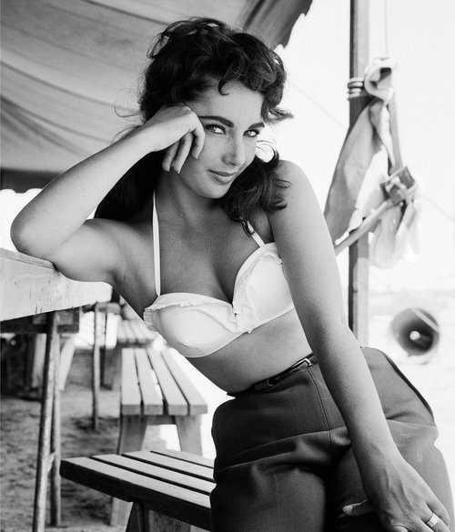 Most-Beautiful-Pictures-Elizabeth-Taylor.jpg