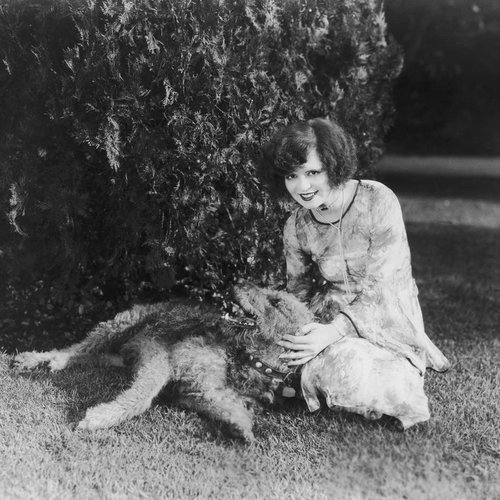 hollywood-film-actress-clara-bow-poses-with-her-pet-news-photo-1588697491.jpg