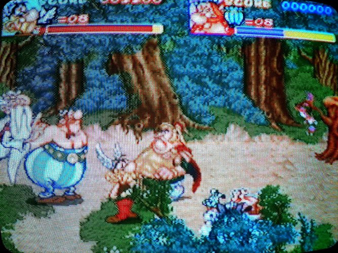 asterix 2.JPG