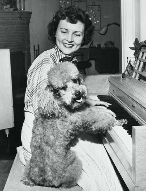 betty-white-dogs-1950s-Getty-Images.png