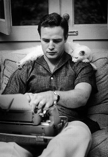 celebrities_and_cats_02.jpg