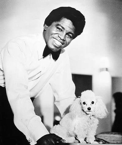 James-Brown-Poodle-1960.jpg