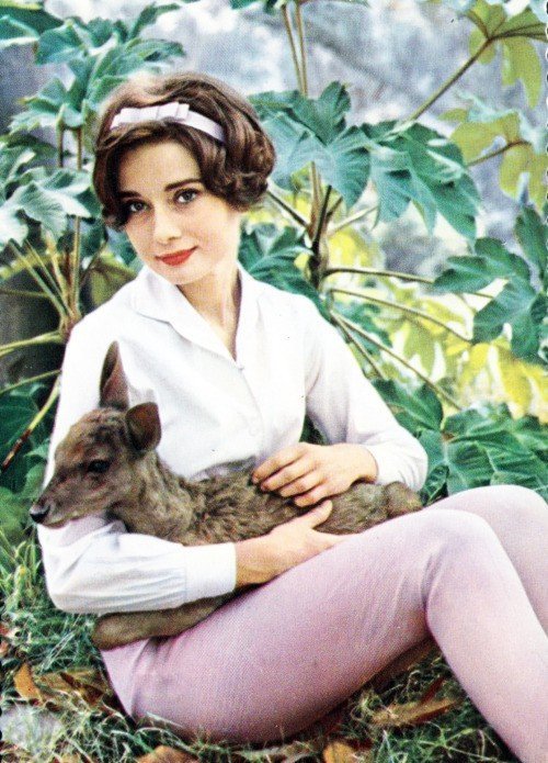 Audrey-Hepburn-Animals-25.jpg