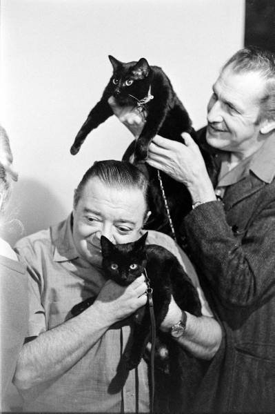 peter-lorre-and-vincent-price-with-black-cats-399x600.jpeg