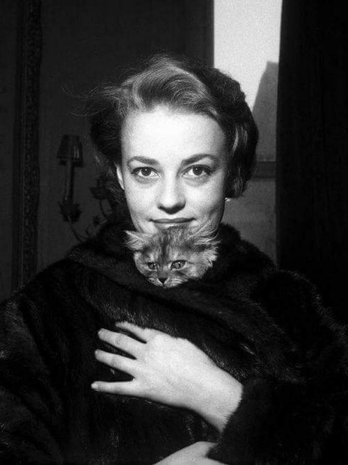 actress-with-cats-3.jpg