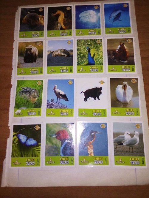 CHIPI ZOO.jpg