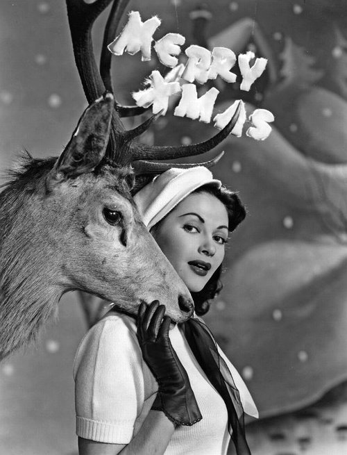 Yvonne De Carlo.jpg