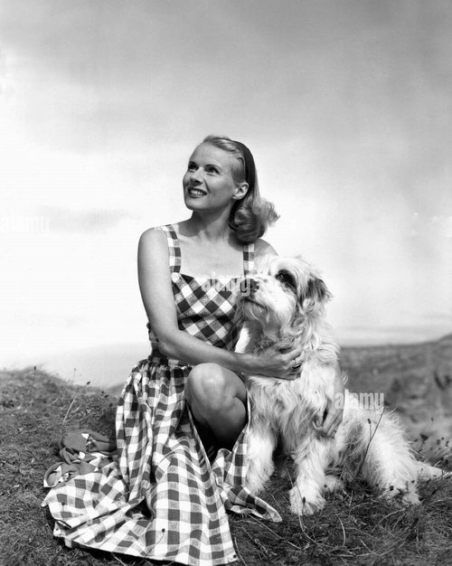 ann-todd-dog-actress-1948-BPTYWB.jpg