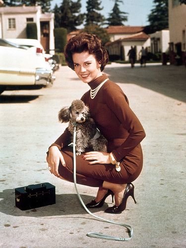 Interesting Vintage Photos of Classic Movie Stars Spending Time With Their Pets (43).jpg