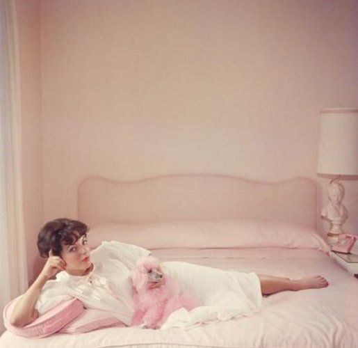 Joan Collins.jpg