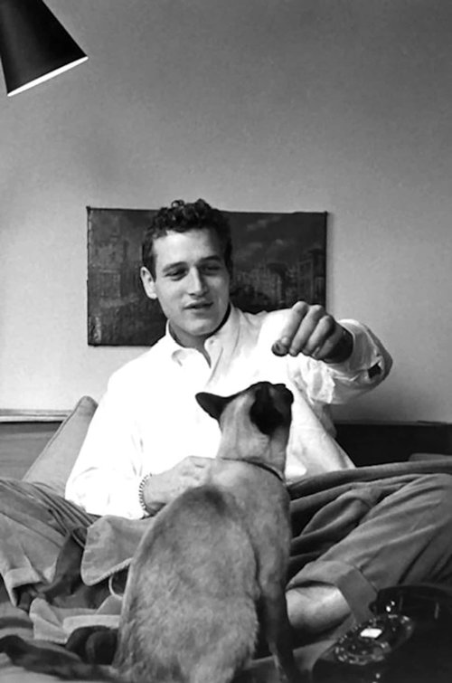 paul-newman-recording-artists-and-groups-photo-u30.jpg