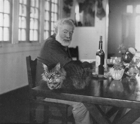 Famous-people-and-their-cats-59894910447b6__700.jpg