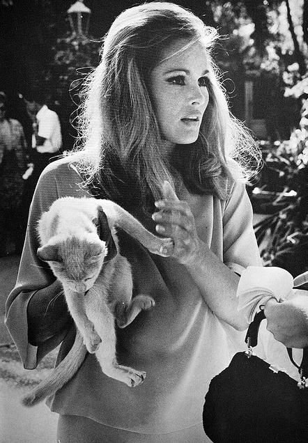 80e3b6cdd96f4f2ea34e05e335b5b596--ursula-andress-swiss-style.jpg