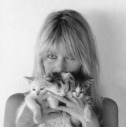 BARDOT-CATS.jpg