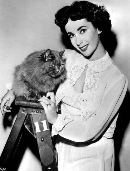 elizabeth-taylor-recording-artists-and-groups-photo-u51.jpg