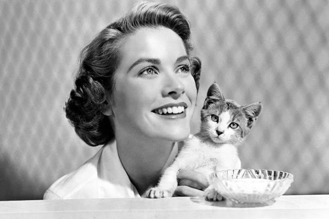 actresses-with-cats-9.jpg