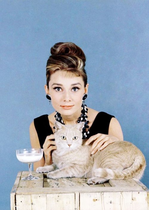 hepburn-audrey-cat-breakfast-tiffanys.jpg