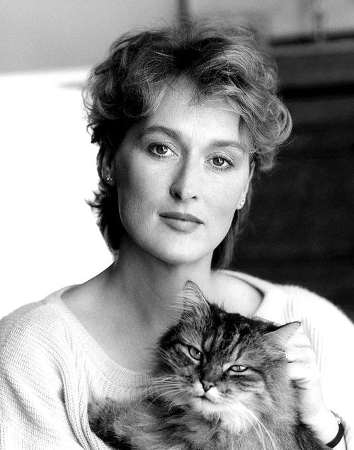 Famous-people-and-their-cats-59894b3ebcfed-598c4912ec0a9__700.jpg