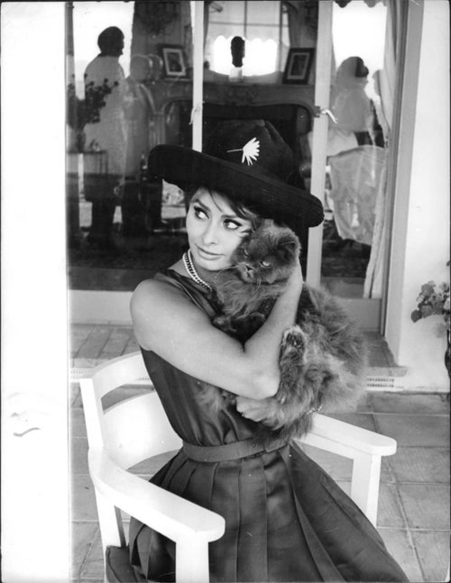 actress-with-cats-13.jpg