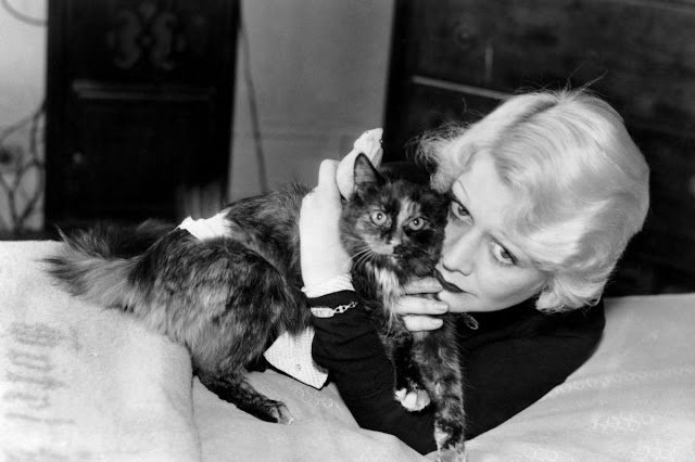 actresses-with-cats-2.jpg